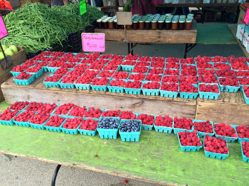 Park «Prospect Park Carousel», reviews and photos, 95 Prospect Park West, Brooklyn, NY 11225, USA