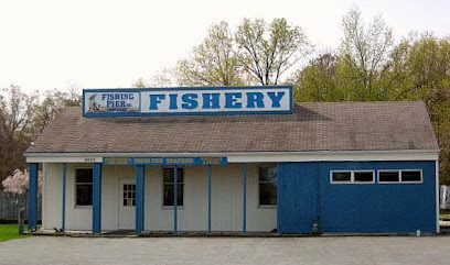Fishing Pier Inc. - Wholesaler of Lake Erie Yellow Perch