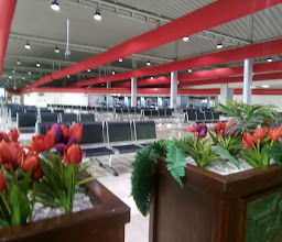 Guacamole Grill photo