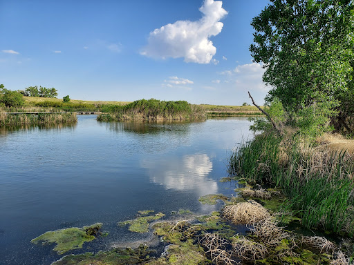 Lake Mary Loop Trail