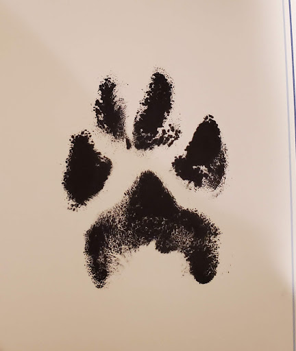 Explore law enforcement tattoo ideas, creative tattoo ideas in Charlottesville, available at Tatted Souls LLC