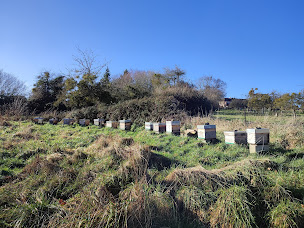Photo n°2 de Ferme Le Cèdre à Fresné-la-Mère ()