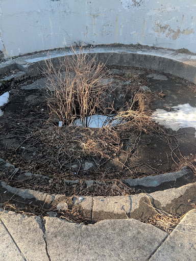 State Park «Fort Revere Park», reviews and photos, 60 Farina Rd, Hull, MA 02045, USA