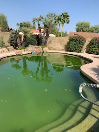 Uprise Pools - Photo 4 - Car repair in , Mesa