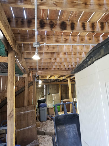 Electrician «Mister Sparky», reviews and photos, 7823 Marina Dr #2, San Antonio, TX 78250, USA