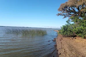 Prainha image