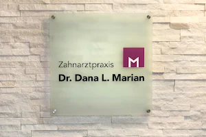 Dr. Dana L. Marian image