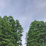 Photo n°5 de l'avis de Taylan.a fait le 10/07/2022 à 05:40 sur le  Seehotel Schorfheide am Grimnitzsee à Althüttendorf