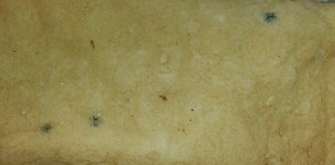 Photo n° 1 de l'avis de E.b fait le 24/01/2020 à 00:10