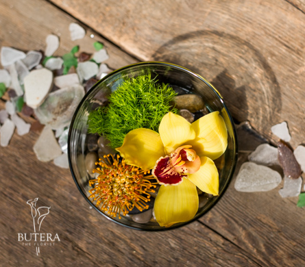 Florist «Butera The Florist», reviews and photos, 313 E Market St, York, PA 17403, USA