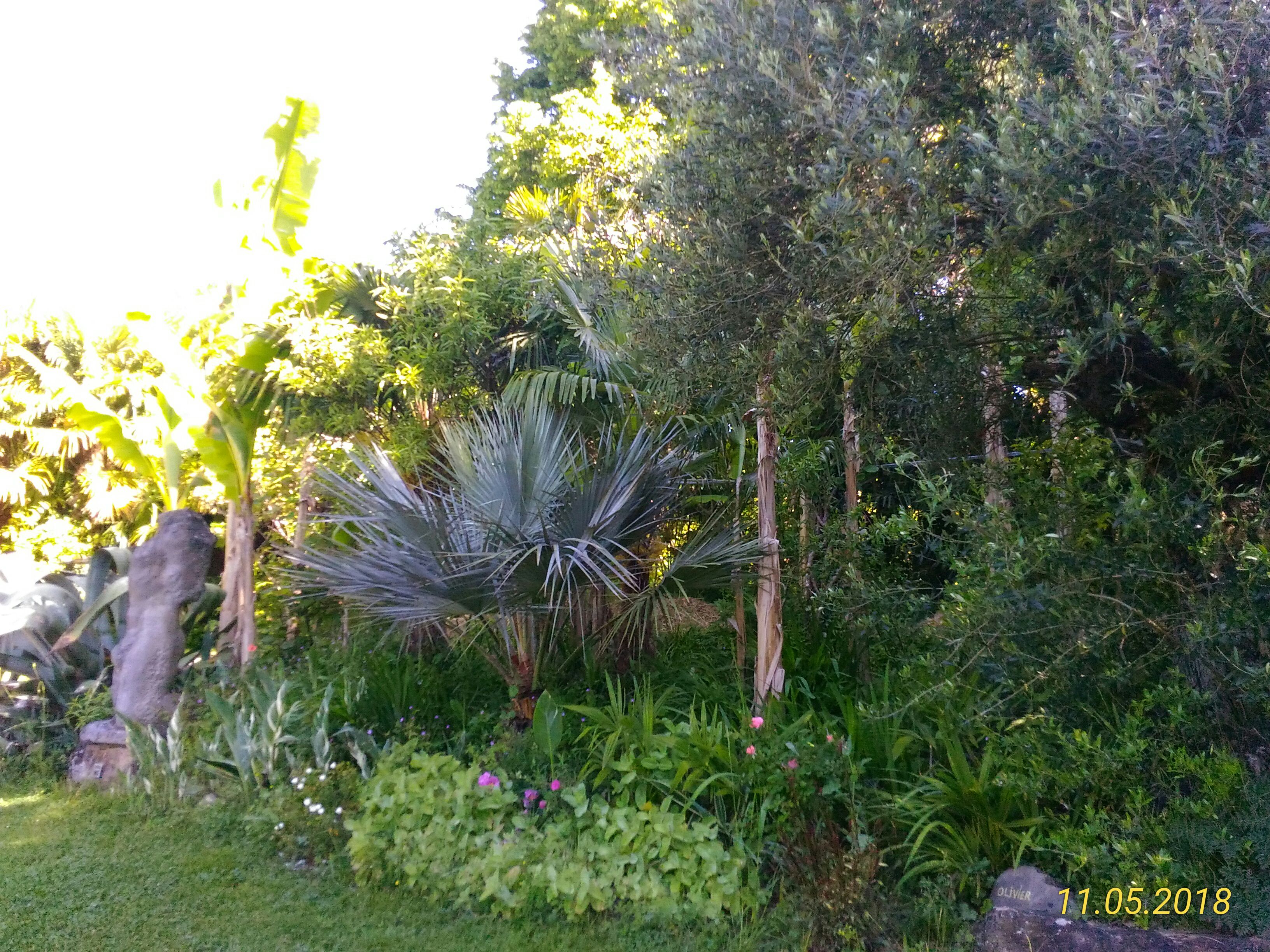 Photo n° 8 de l'avis de Marie.a fait le 13/05/2018 à 04:32