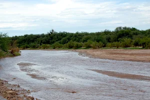 San Pedro River image