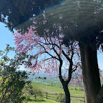 Photo n°2 de l'avis de Elisa.a fait le 13/04/2024 à 16:00 sur le  Agriturismo La Colombaia à Pianello Val Tidone