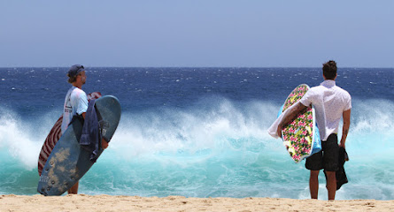MOB Surf: Catch Surf | Carver | Tropical Brasil | Tablas de Surf & Surfskate