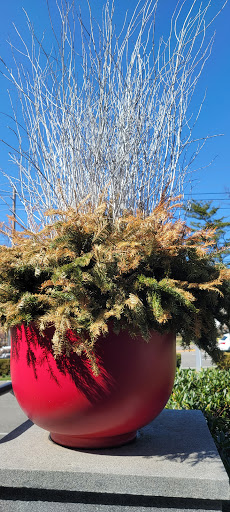 Computer Store «Apple Manhasset», reviews and photos, 1900 Northern Blvd, Manhasset, NY 11030, USA