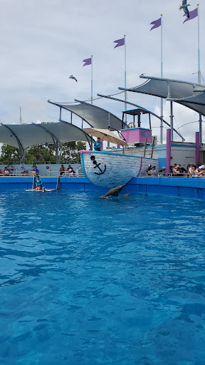 Tour Agency «Miami Swim With Dolphin Tours», reviews and photos, 247 SW 8th St, Miami, FL 33130, USA