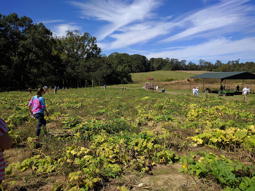 Tourist Attraction «Barn Hill Preserve», reviews and photos, 11370 LA-955, Ethel, LA 70730, USA