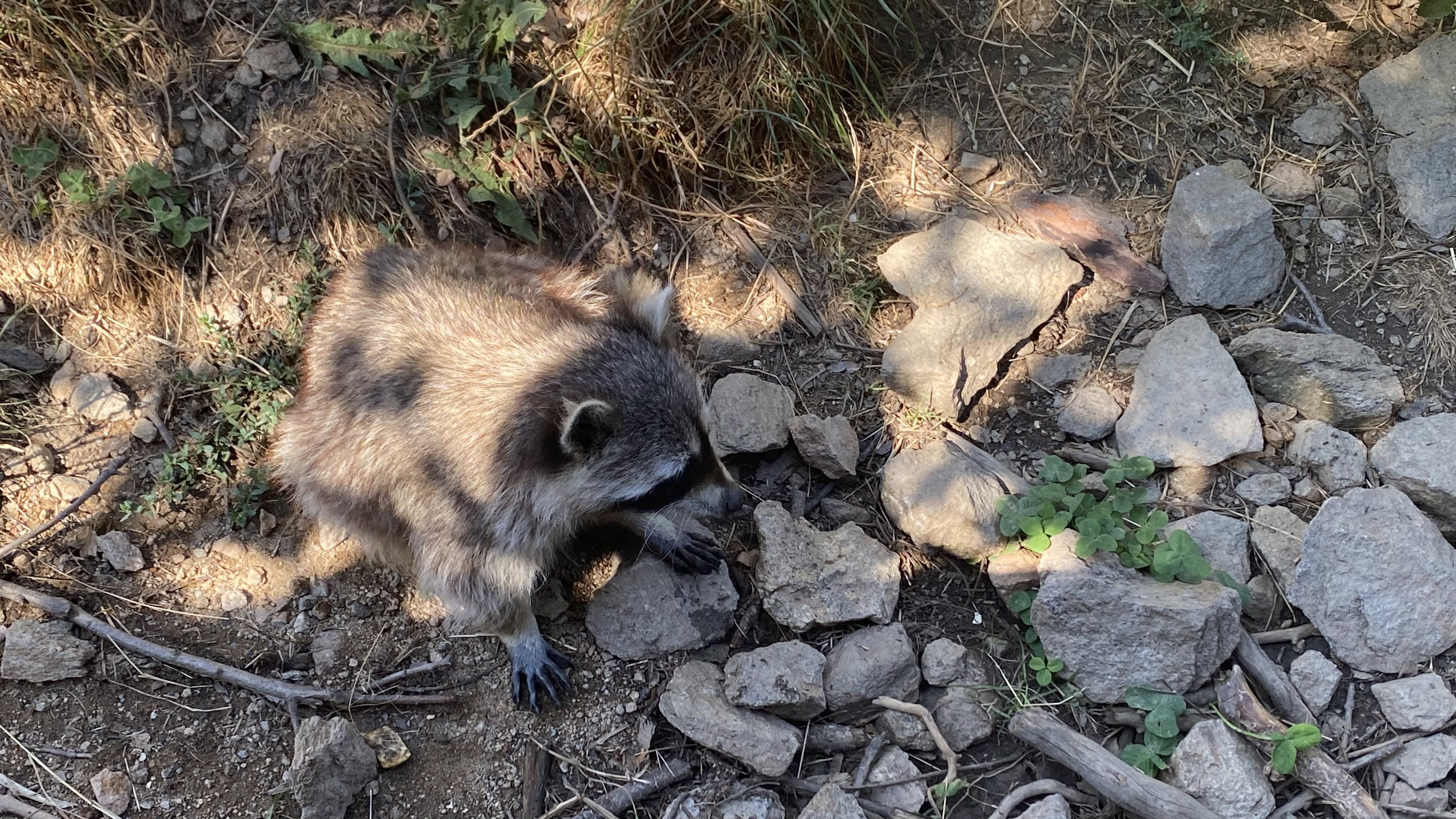 Photo n° 21 de l'avis de Olivier.e fait le 06/08/2022 à 17:29