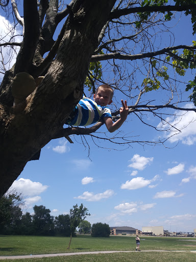 Park «Stout Field Park», reviews and photos, 3820 W Bradbury Ave, Indianapolis, IN 46241, USA