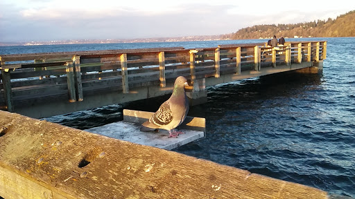State Park «Dash Point State Park», reviews and photos, 5700 SW Dash Point Rd, Federal Way, WA 98023, USA