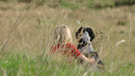 Best Mate Dog Training | Dog Trainer | New Zealand