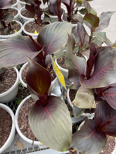 Home Improvement Store «The Home Depot», reviews and photos, 7251 Bell Creek Rd, Mechanicsville, VA 23111, USA