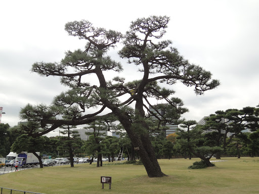 Hibiya Park