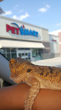 PetSmart - Photo 5 - Car repair in Richmond, KY, Lexington