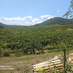 Photo n°6 de l'avis de serena.a fait le 02/09/2021 à 16:04 sur le  Osteria la Casellina à Pontassieve