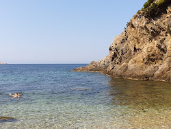 Plage la Polynesie'in fotoğrafı ve güzel manzarası