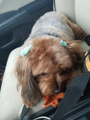 Pet Supply Store «PetSmart», reviews and photos, 3370 Shoppers Dr, McHenry, IL 60050, USA