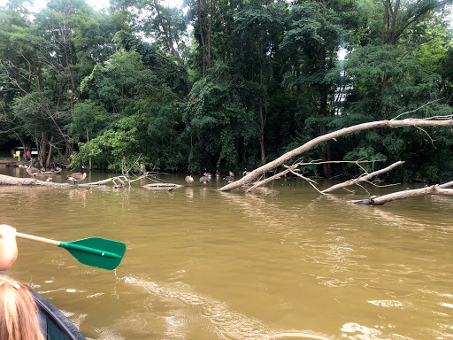 Canoe & Kayak Store «West River Paddle Sports», reviews and photos, 655 W River Rd, Vermilion, OH 44089, USA