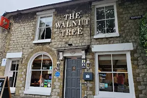 The Walnut Tree image