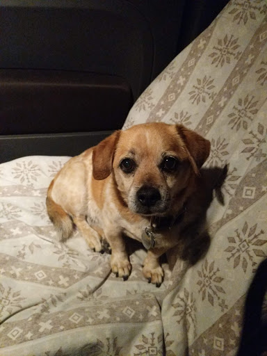 Drive-in Movie Theater «Rubidoux Drive-In Theatre and Swap Meet», reviews and photos, 3770 Opal St, Riverside, CA 92509, USA