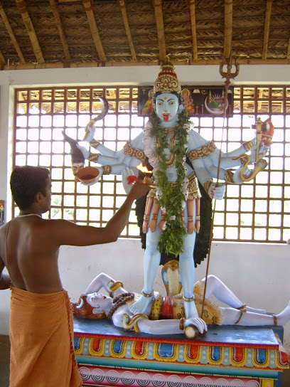Mahavidya Inner Health and Mahavidya Temple India