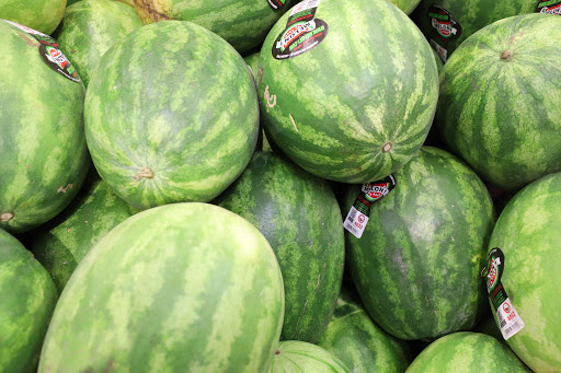 Grocery Store «Food Lion», reviews and photos, 215 Stadium St, Smyrna, DE 19977, USA