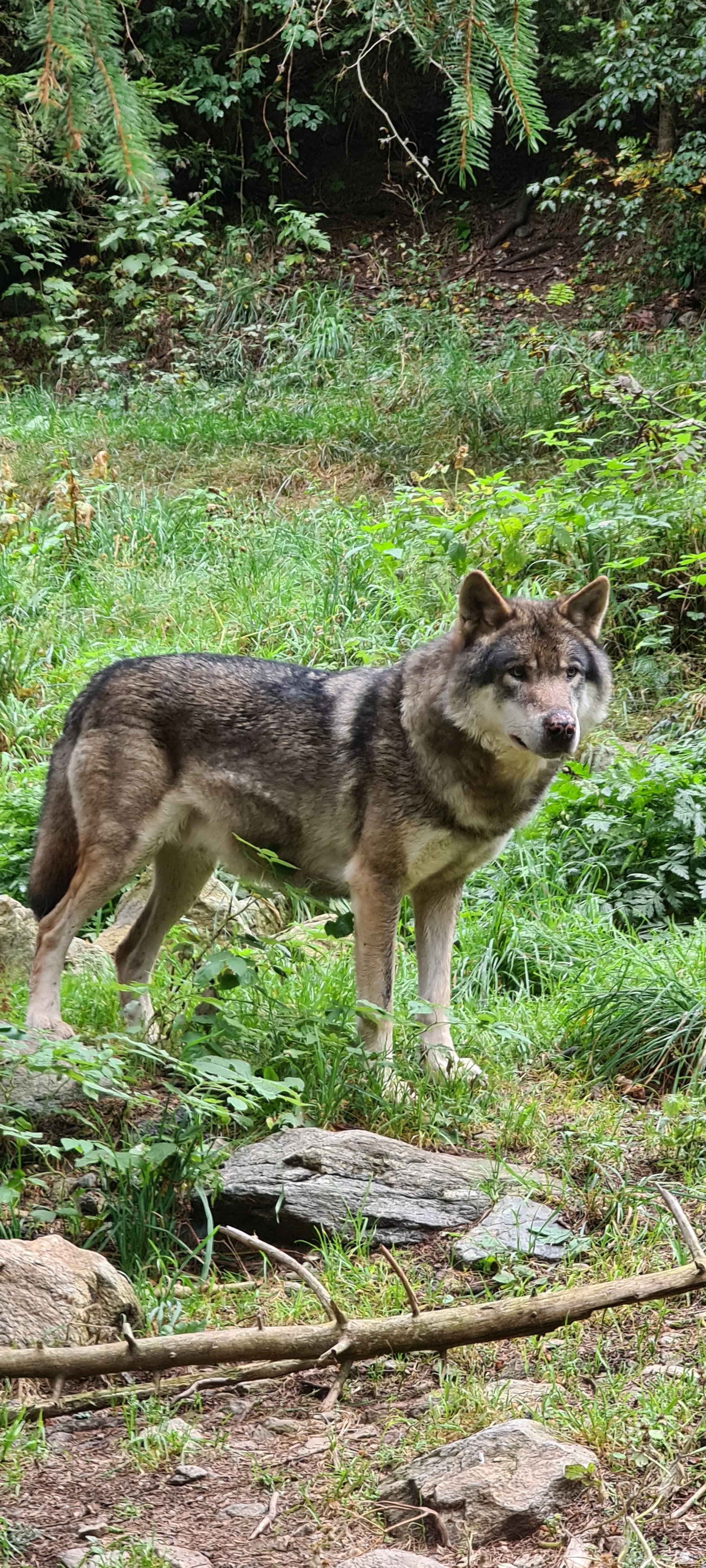 Photo n° 1 de l'avis de Stéphane.A fait le 20/09/2020 à 13:43
