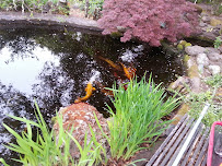 Wiegner Ponds - Photo 6 - Car repair in Santa Rosa, CA, Santa Rosa