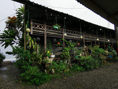 Cabañas Refugio Salomon - Corregimiento Termales, Nuquí, Chocó, Colombia