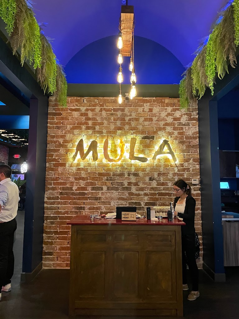 Mula Cantina 78503