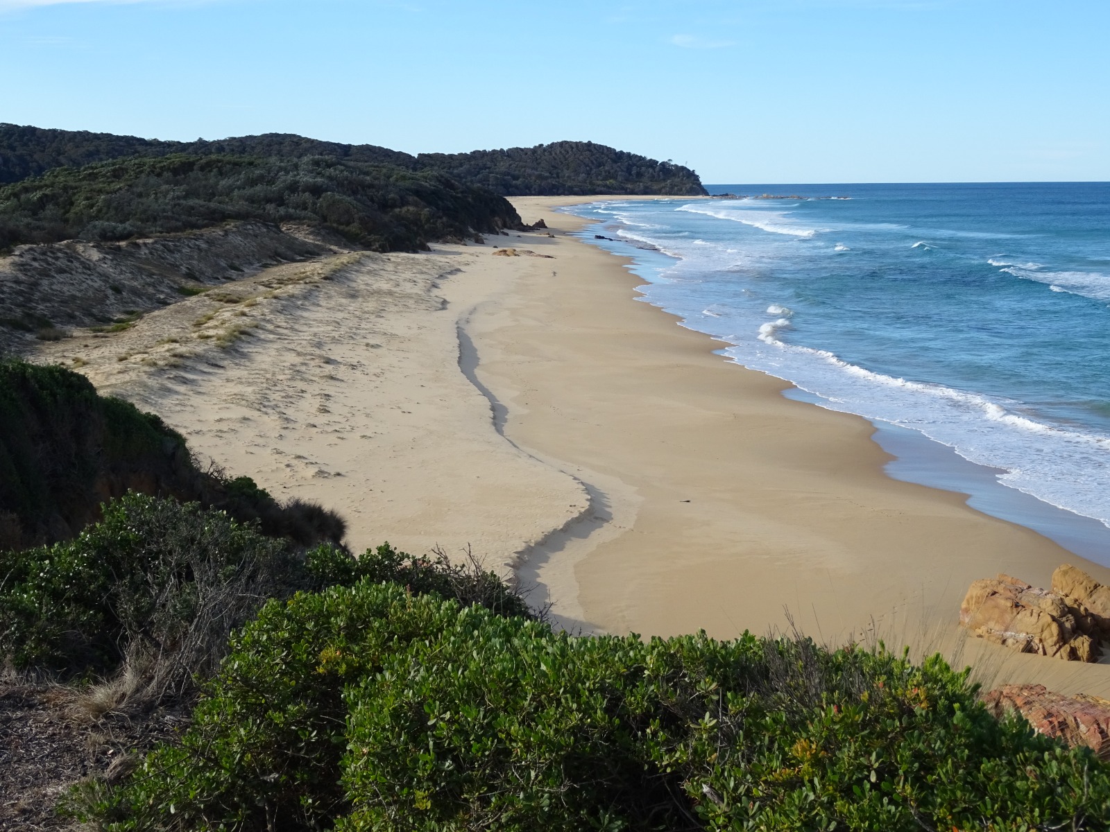 Foto de Gillards Beach con recta y larga