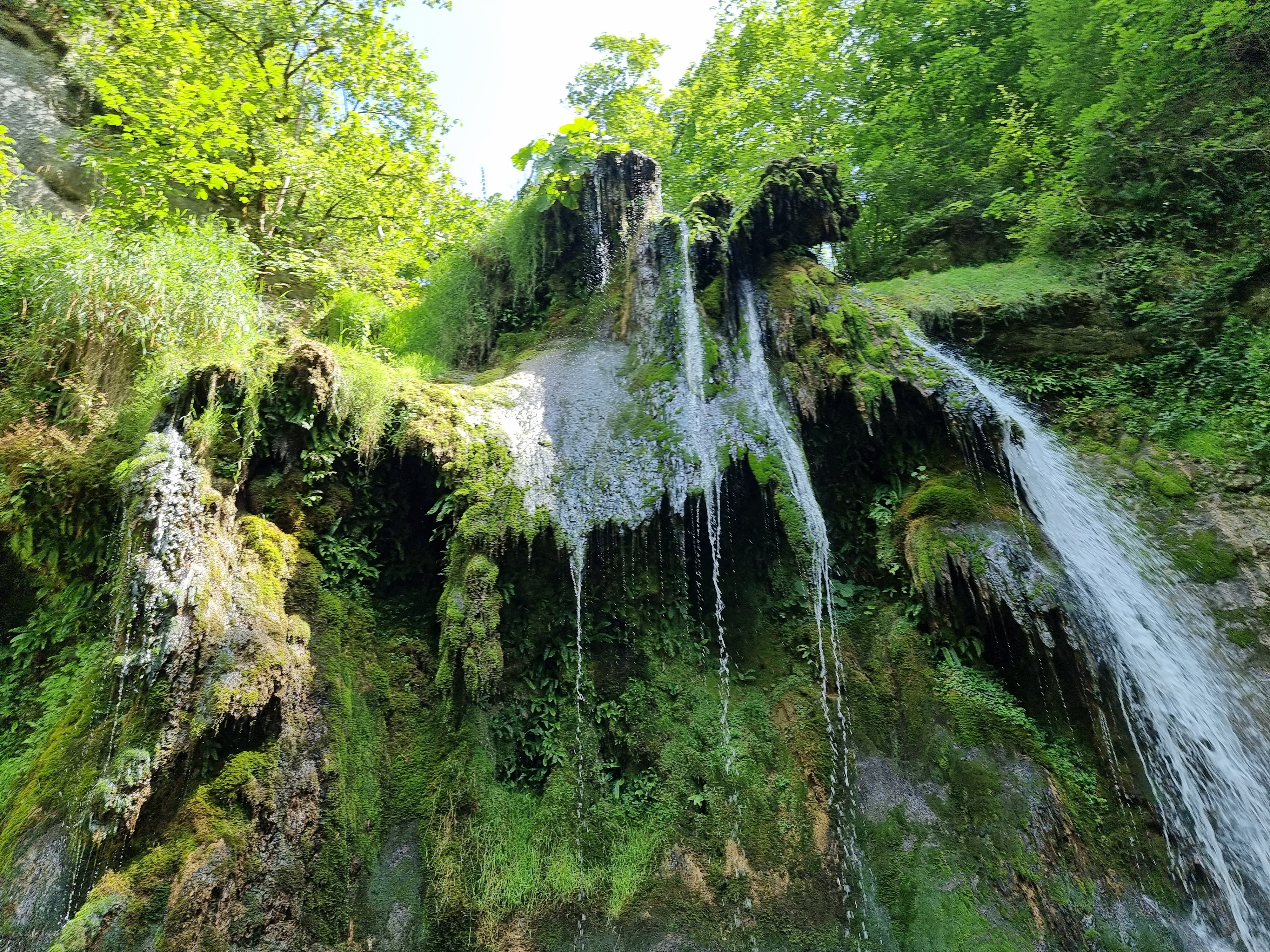 Photo n° 2 de l'avis de Bram. fait le 24/07/2023 à 16:58