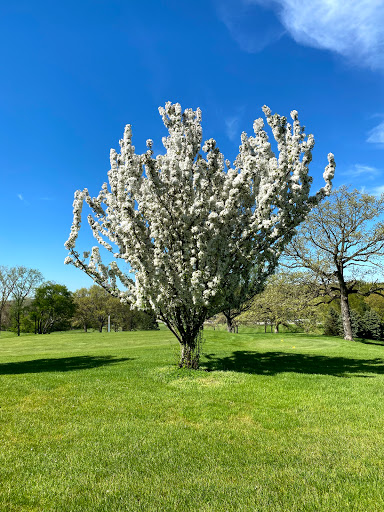 Golf Course «Huron Hills Golf Course», reviews and photos, 3465 E Huron River Dr, Ann Arbor, MI 48104, USA