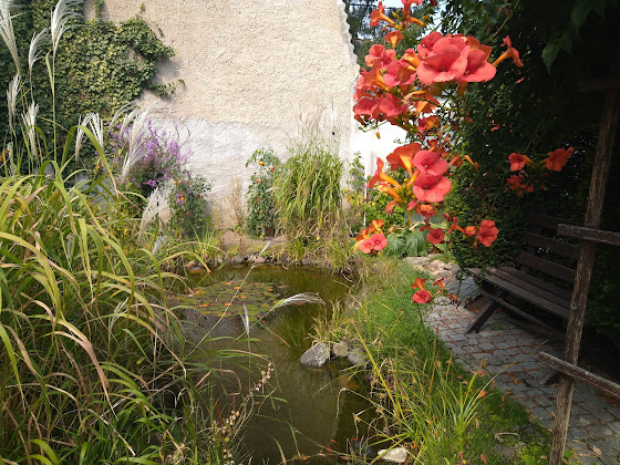 Photos des visiteurs Ferienwohnung Ferienwohnung Wagner 01619 Zeithain
