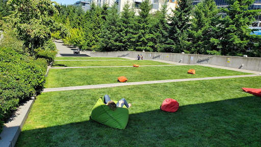 Park «Olympic Sculpture Park», reviews and photos, 2901 Western Ave, Seattle, WA 98121, USA