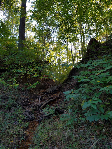 Nature Preserve «Governor Bridge Natural Area», reviews and photos, 7600 Governor Bridge Rd, Bowie, MD 20716, USA
