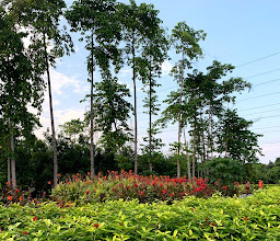 Taman Pertanian Terpadu Balas Klumprik photo