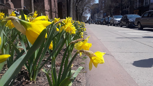 Coffee Shop «Starbucks», reviews and photos, 1068-1070 Chapel St, New Haven, CT 06510, USA