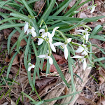 Photo n°7 de l'avis de Eva.i fait le 14/03/2022 à 15:10 sur le  Yenidze à Dresden