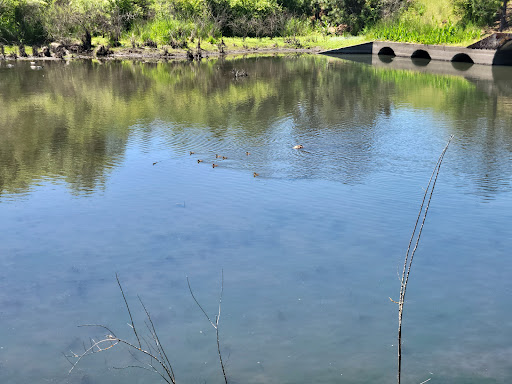 Park «Tualatin Hills Nature Park», reviews and photos, 15655 SW Millikan Way, Beaverton, OR 97006, USA